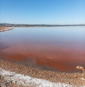 laguna rosa torrevieja