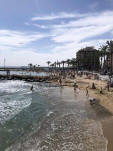 paseo de torrevieja